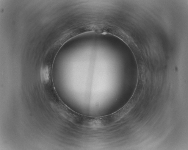 X0000068310075200604211215