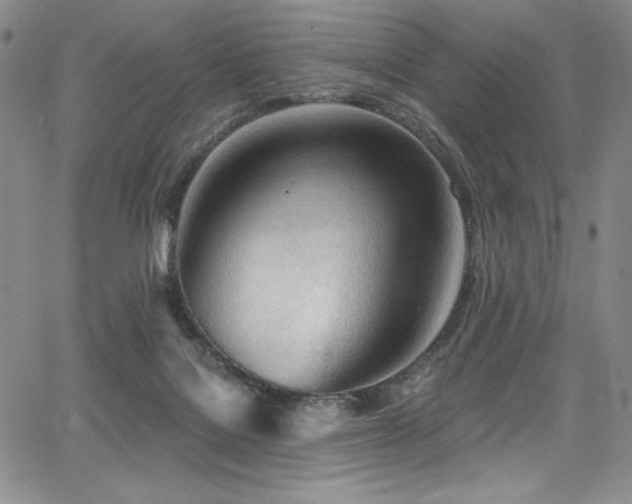 X0000068310076200604211215