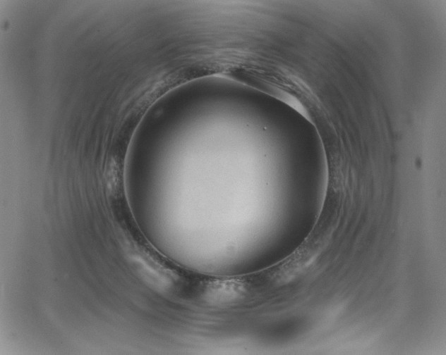 X0000068310077200604211215