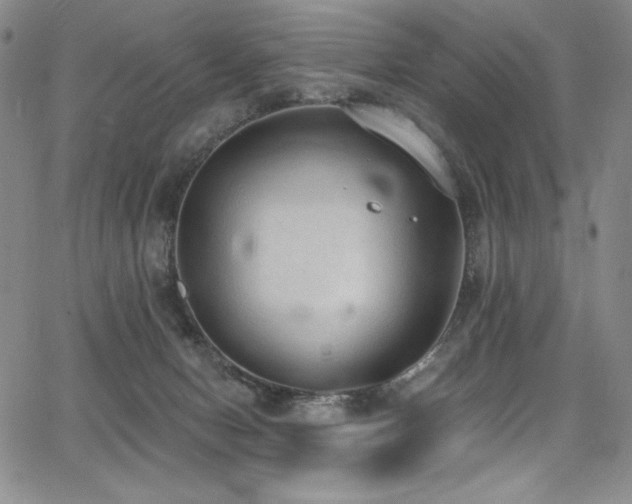 X0000068310078200604211215