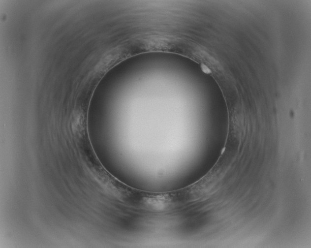 X0000068310079200604211215