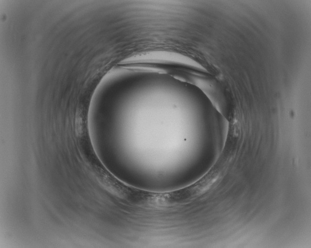 X0000068310080200604211215