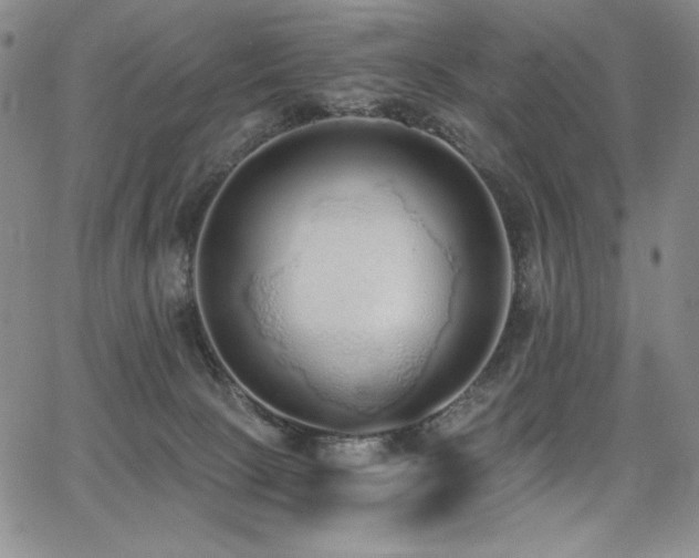 X0000068310081200604211215