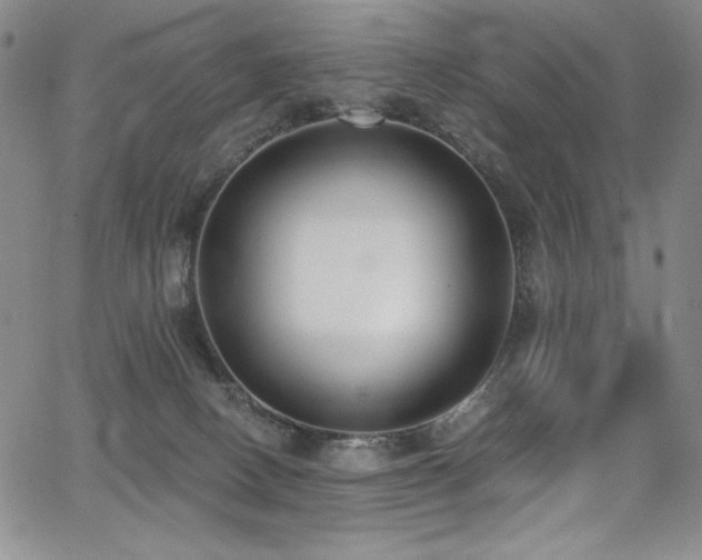 X0000068310082200604211215