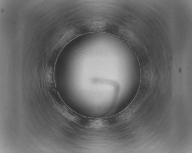 X0000068310083200604211215