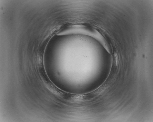 X0000068310084200604211215