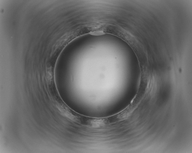 X0000068310085200604211215