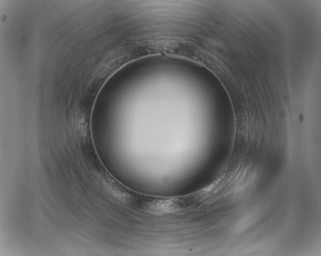 X0000068310086200604211215