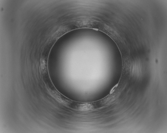 X0000068310087200604211215