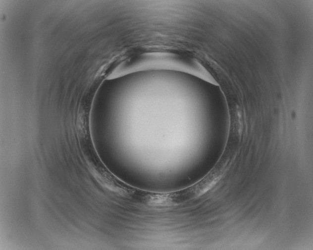 X0000068310088200604211215