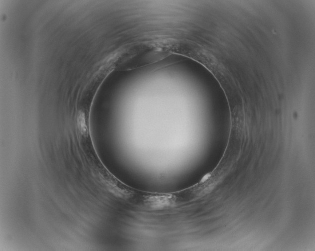 X0000068310089200604211215