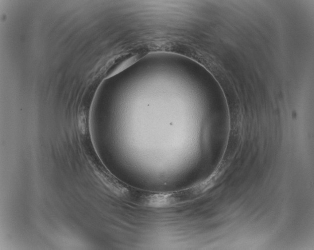 X0000068310090200604211215