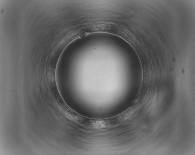 X0000068310091200604211215