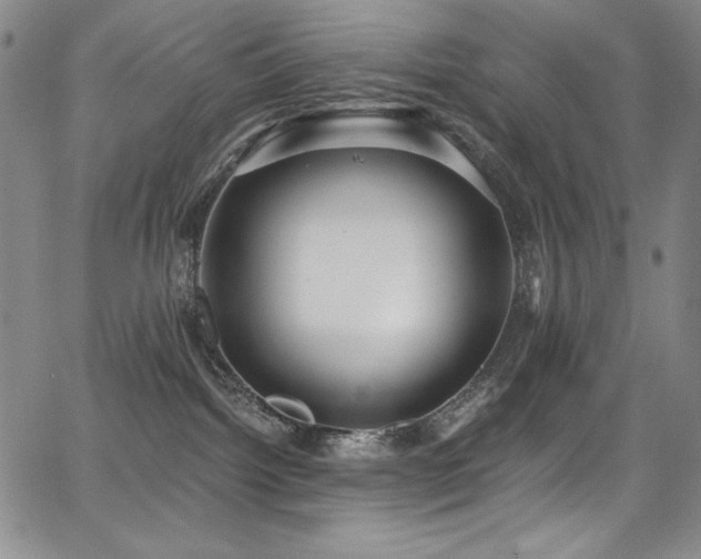 X0000068310092200604211215