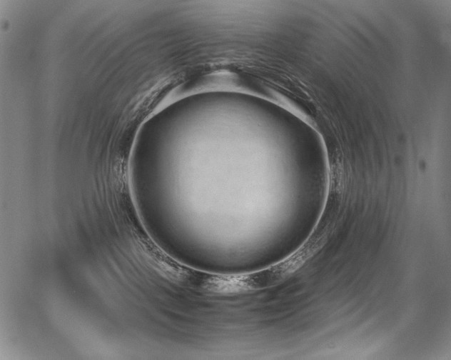 X0000068310093200604211215