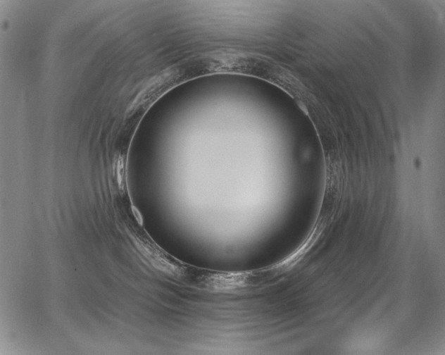 X0000068310094200604211215