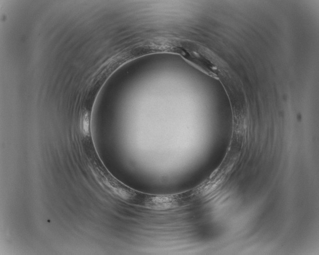 X0000068310095200604211215