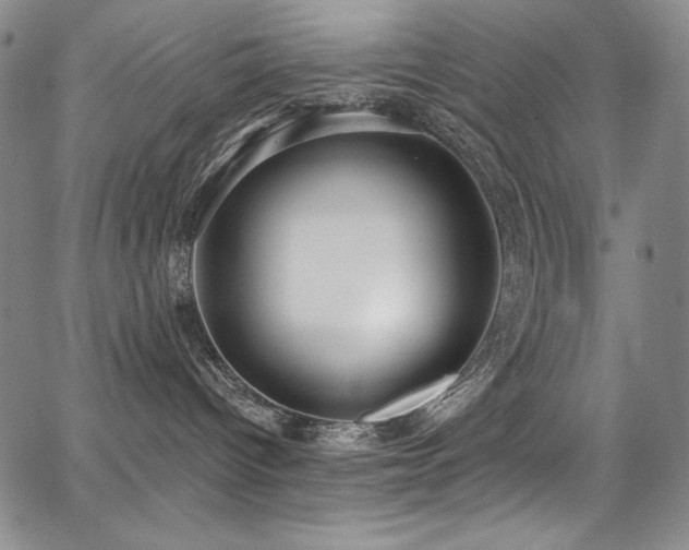 X0000068310096200604211215