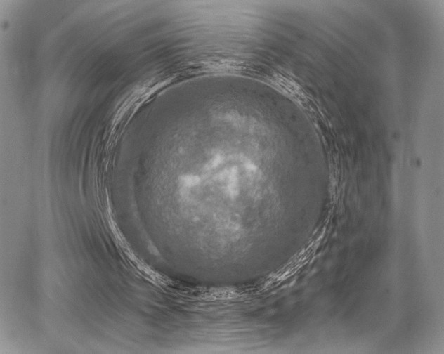 X0000068310097200604211214