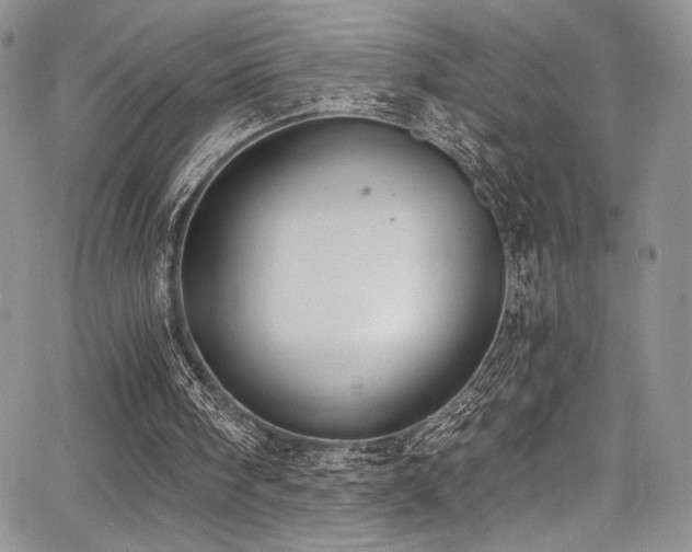 X0000068310098200604211214