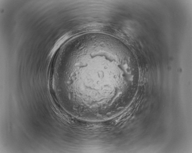 X0000068310099200604211214