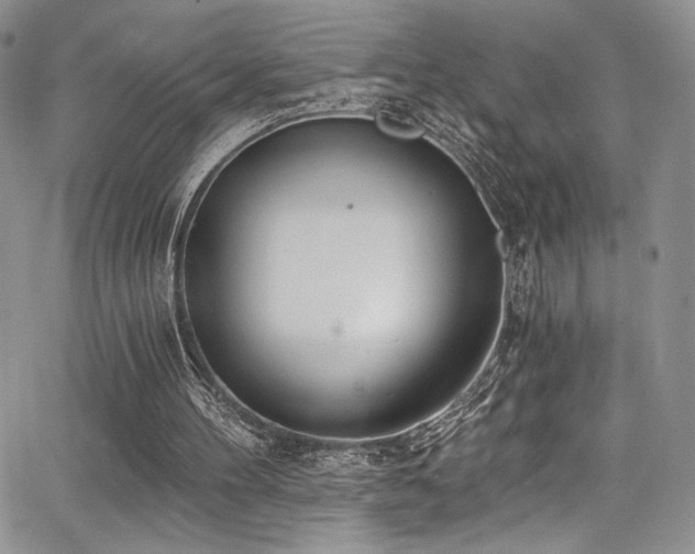 X0000068310100200604211214