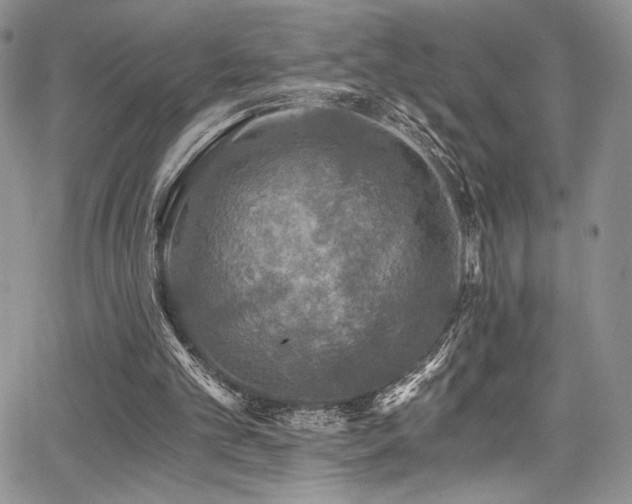 X0000068310101200604211214