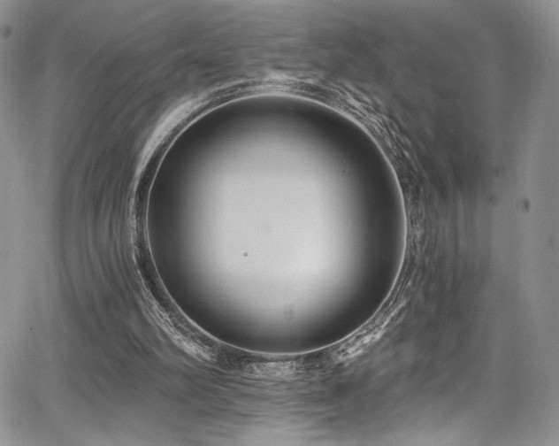 X0000068310102200604211214