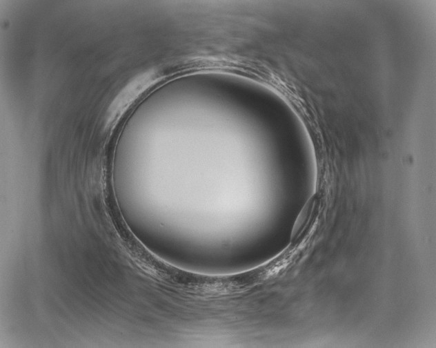 X0000068310103200604211214