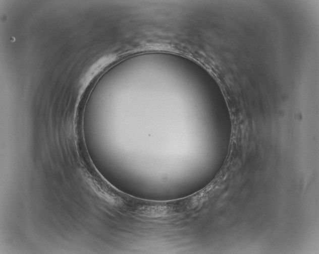 X0000068310104200604211214