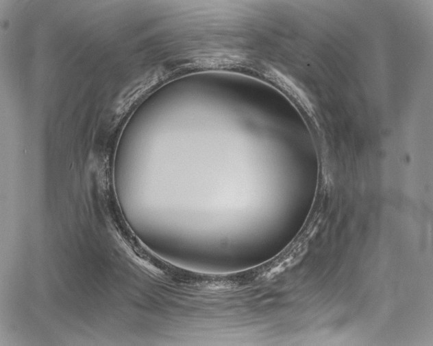 X0000068310105200604211214