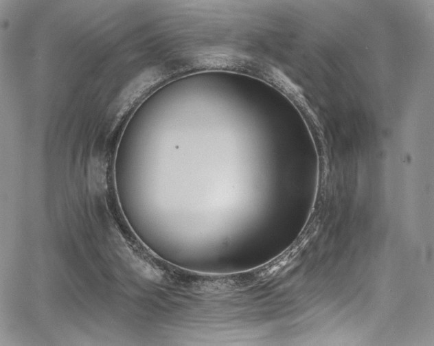 X0000068310106200604211214