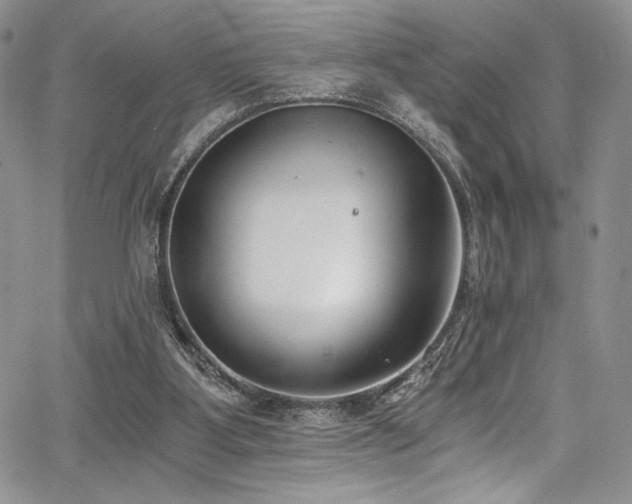 X0000068310107200604211214