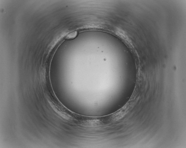 X0000068310108200604211214