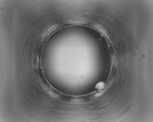 X0000068310109200604211214