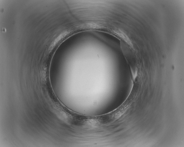 X0000068310111200604211214