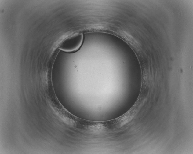 X0000068310112200604211214