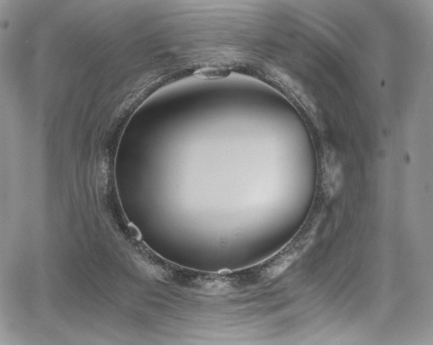 X0000068310113200604211214