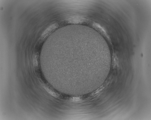 X0000068310114200604211214