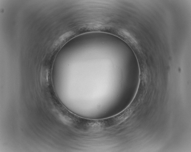 X0000068310115200604211214