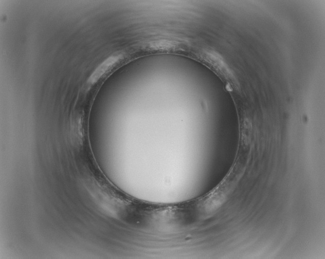 X0000068310116200604211214