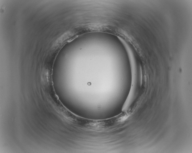 X0000068310117200604211214