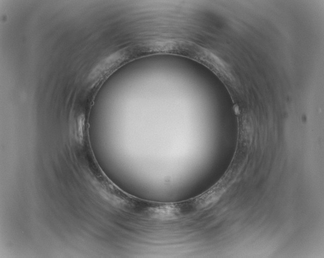 X0000068310118200604211214