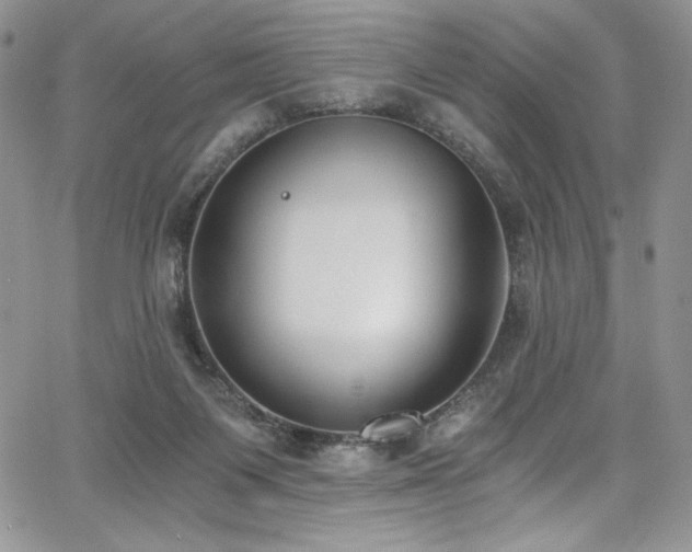 X0000068310119200604211214