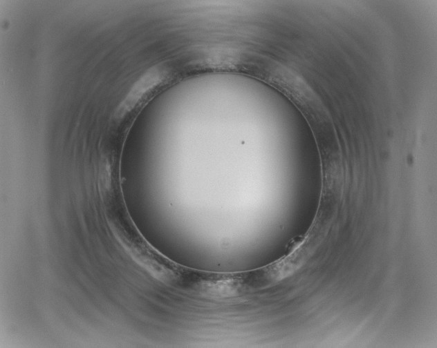 X0000068310120200604211214