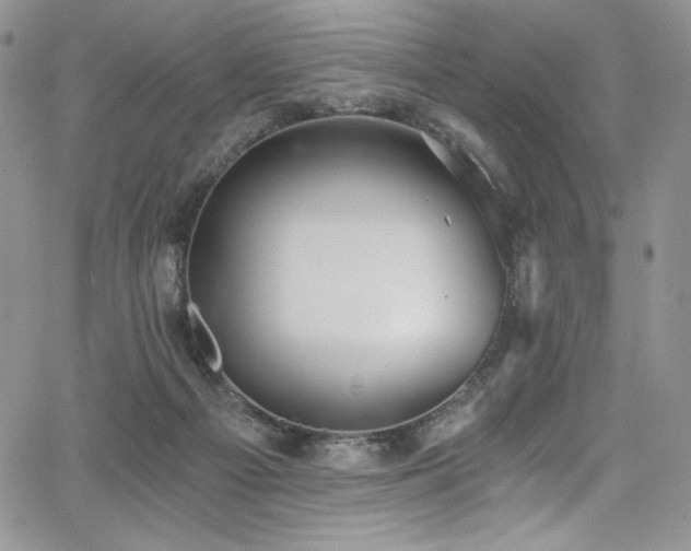 X0000068310121200604211214