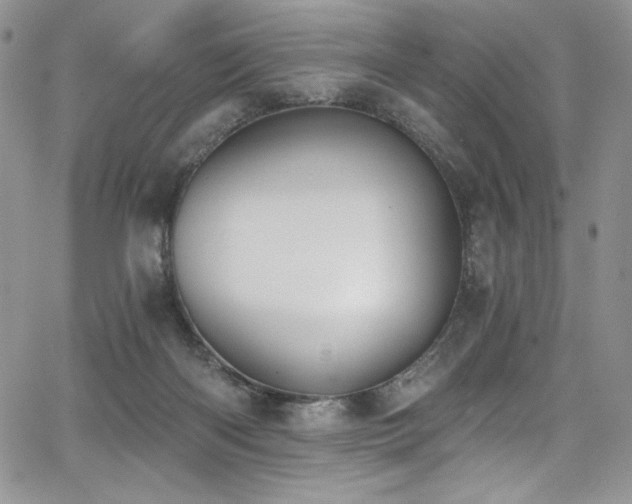 X0000068310122200604211214