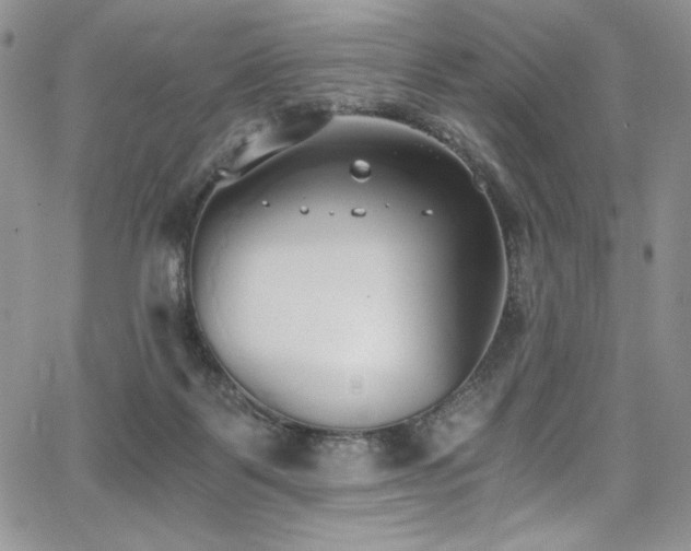 X0000068310123200604211214