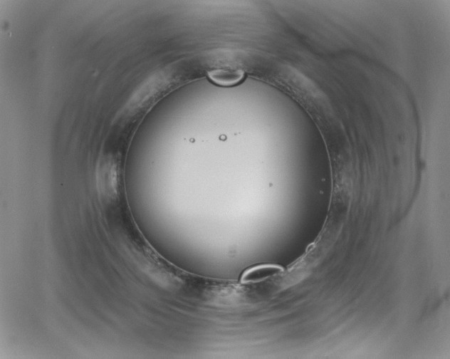 X0000068310124200604211214