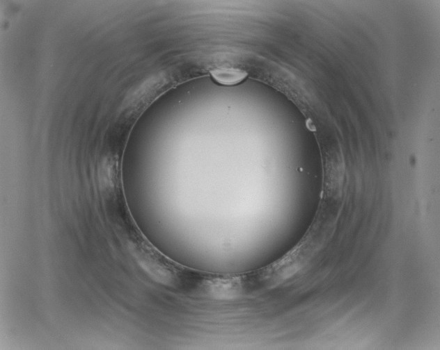 X0000068310126200604211214